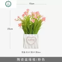 仿真植物装饰北欧绿植室内盆栽客厅摆件塑料假花多肉小盆景摆设 封后 陶瓷盆绿植/粉色