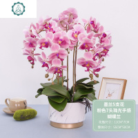 仿真花假花客厅摆设装饰花蝴蝶兰花艺摆件塑料花盆栽茶几餐桌花 封后 墨兰5支花(7头珠光蝴蝶兰玛瑙红色)仿真植物