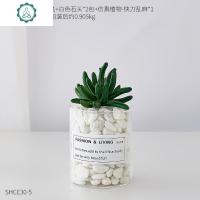 北欧ins风多肉仿真植物盆栽 客厅装饰品假绿植花盆桌面可爱小摆件 封后 仿真快刀乱麻多肉盆栽[小号玻璃瓶]