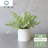 大栗家 北欧简约假花客厅盆栽植物 仿真绿植装饰 室内植物小摆件 封后 F款(钮扣蕨+金盆)仿真植物