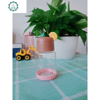 单层玻璃杯夏天水果炫彩迷你便携式女士花茶250ML 封后 MLH495咖色橙子+刷子+咖啡杯垫