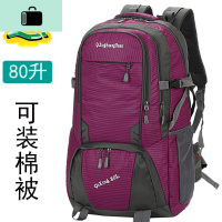 旅行背包双肩包男大容量80升户外登山包女旅游背包徒步运动行李包NEW LAKE