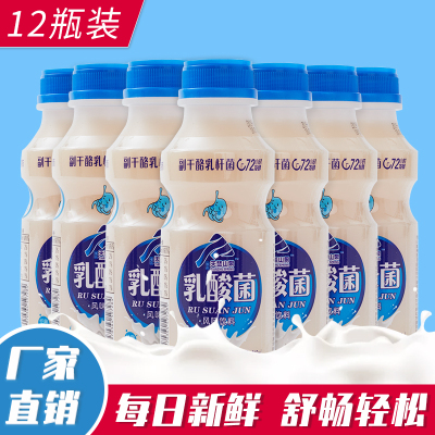 新日期胃动力乳酸菌饮品整箱特价340ml早餐酸奶牛奶益生元饮料