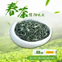 毛尖茶2020新茶叶雨前春茶浓香型绿茶叶特级高山信阳毛尖散装250g