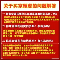 金银花散装250克新货河南封丘非1斤装泡茶婴儿洗澡金银花茶清火