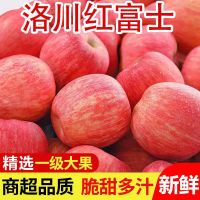 [鲜果]正宗陕西洛川红富士苹果 新鲜水果 5斤装