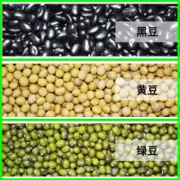 豆芽机家用麦饭石豆芽罐发黄豆绿豆黑豆芽种植桶豆芽菜种植盆塑料|黄豆+绿豆+黑豆各1斤（生豆芽专用）