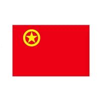 中国五星国旗123456号纳米加厚防水党旗团旗红旗定制广告旗帜 纳米加厚防水团旗 2号旗(160*240)一面