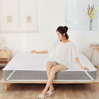 小米双重床垫保护垫小米生态链防滑垫床罩床套床褥子可水洗