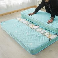 加厚榻榻米床垫可折叠可订做定制透气床垫 透气龙猫10cm 150*200