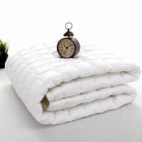 宾馆加棉加厚床垫夹棉床垫保护垫白色1.8米双人床棕榈床垫
