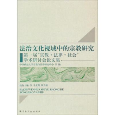 惠典正版文化视域中的研究 中国政法大学宗教与法律研究中心 宗教文化出版社