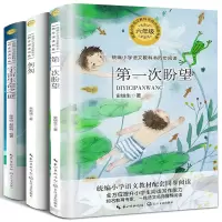 惠典正版六年级阅读3册 第一次盼望 史铁生著 匆匆朱自清散文集 宇宙生命之谜版小学语文同步阅读书系小学生课外书籍 长江文