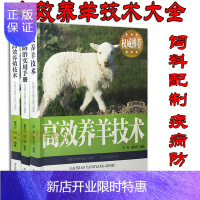 惠典正版高效养羊 全3册 图文本 高效养羊技术 肉羊高效养殖技术 羊病防治实用手册等 羊舍圈建造 品种选良