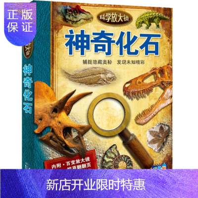 惠典正版正版 科学放大镜:神奇化石 [英]道格拉斯帕尔默 9787556020188 长江少年儿童