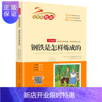 惠典正版正版 钢铁是怎样炼成的 中小学教辅 中小学阅读 课外阅读 广东人民出版社