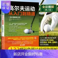 惠典正版正版 高尔夫运动从入门到精通 高尔夫学习手册 高尔夫入门教材书 怎样打高尔夫 学打高尔夫球书籍 高