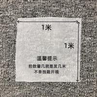 无渣豆浆过滤网隔渣奶茶果汁过滤器酵素白酒葡萄酒细漏网过滤袋|1米X1米尼龙网300目(不是袋子)