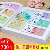 学前识字大王幼儿园识字教材幼小衔接宝宝认字无图识字卡片