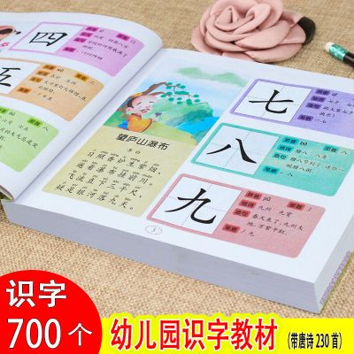 学前识字大王幼儿园识字教材幼小衔接宝宝认字无图识字卡片