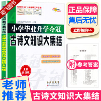 2020新版68所名校小学毕业升学夺冠古诗文知识大集结部编人教版小学生六年级升初中总复习资料小升初必刷题同步专项强化训练