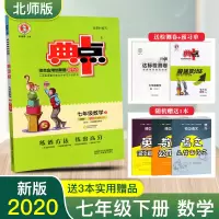 2020版典中点七年级下数学北师大版BS版 典点综合应用创新题附达标检测试卷 典中点七下初一下册教辅书七年级下册数学课时