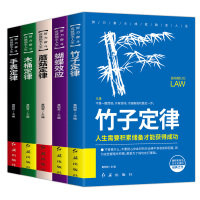 5册正版管理方面的书籍竹子定律+蘑菇定律+蝴蝶效应+木桶定律+手表定律 书领导者的成功法则执行力与经营行政物业企业管