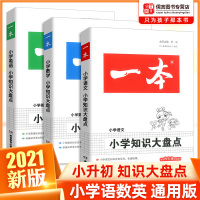2021正版一本小学知识大盘点语文数学英语全套3册 开心小升初总复习必备考点基础知识大全五六年级小考知识集锦毕业升学辅导