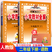 薛金星小学教材全解2020春二年级下册语文数学2本人教版RJ 课堂同步解读部编版同步训练学习资料包教辅书全套 同步阅读试