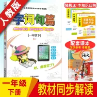 2020春字词句篇一年级下册人教版 小学语文书详解同步教材全解全练辅导资料书学生自学必备书好词好句好段大全 小学语文知识