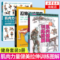 肌肉健美训练图解(最新版)+力量与肌肉训练图谱+拉伸训练图解 3册套 运动健身健美肌肉训练书囚徒健身女无器械健身教程大全