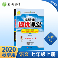 2020年秋 实验班提优课堂初中语文七年级上册 部编人教版 ns