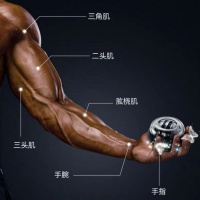 抖音同款 腕力球成人 练臂500斤 螺旋丸 握力器 学生减压手腕