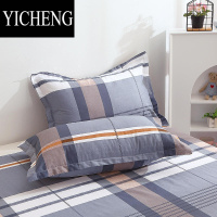 YICHENG2022新款100枕头枕套装枕套一对装家用单人单个48cmx74cm