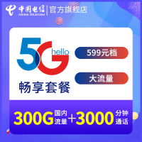 中国电信湖南电信手机卡全国流量畅享599元档（5G）套餐电话卡