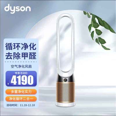 戴森(Dyson) TP06 新品空气净化风扇 净化甲醛 整屋循环 智能连接 白金色 戴森新品震撼上市 无叶净化风扇