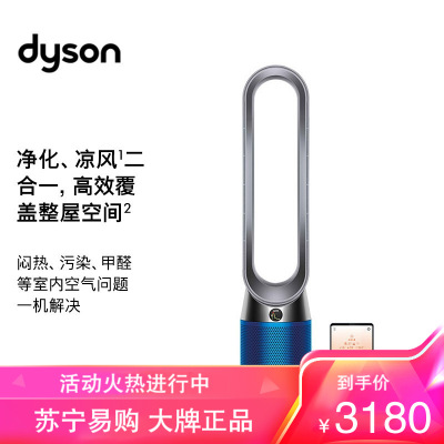 戴森(Dyson) TP04 空气净化循环风扇 兼具空气净化器和循环扇功能 智能塔式儿童安全 电风扇 铁蓝色