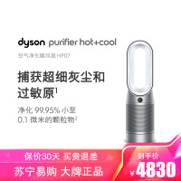 戴森(DYSON)HP07 多功能无叶净化风扇 兼具空气净化器凉风取暖功能 白银色
