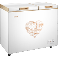 奥马（Homa）BCD-261G2 双温冷柜 家用冷藏冷冻小冷柜 卧式冷柜