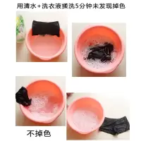 新款泳衣女泳裤女士平角泳裤打底裤防走光温泉游泳平角短裤安全裤