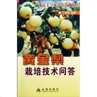 黄金梨种植技术书籍 黄金梨大树改接管理技术视频教程 1光盘+1书