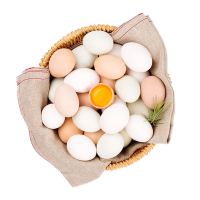 【当天现捡现发】黄河滩区农家散养土鸡蛋草鸡蛋新鲜柴鸡蛋笨鸡蛋