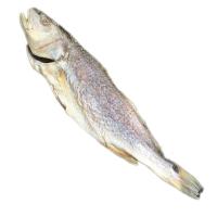 淡口大黄花或咸鱼干台山特产约1斤鱼水产干货