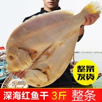 3斤红鱼干 湛江特产渔家自晒风干北海咸鱼干货腌制整条大腊鱼