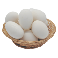 鹅蛋新鲜农家散养新鲜土鹅蛋大鹅蛋12枚顺丰纯孕妇天然个