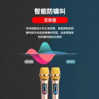 无线话筒唱歌一拖二专业ktv家用音响防啸叫卡拉ok户外舞台麦克风