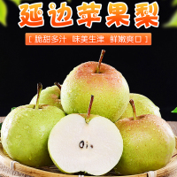 东北延吉特产个大饱满苹果梨 超大果9斤/箱(12个) 脆甜多汁