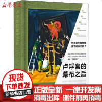 [新华书店]正版 卢浮宫的幕布之后贝雷尼丝·若弗鲁瓦-施内特9787520712392东方出版社 书籍