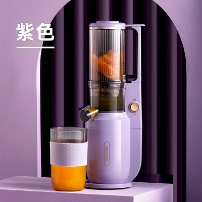 大宇(DAEWOO)原汁机榨汁机家用渣汁分离水果打炸果汁机果蔬多功能鲜炸料理机全自动小型搅拌机杯 双杯紫色