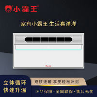 小霸王智能电器 浴霸(XBW-6009)集成吊顶式风暖卫生间取暖五合一